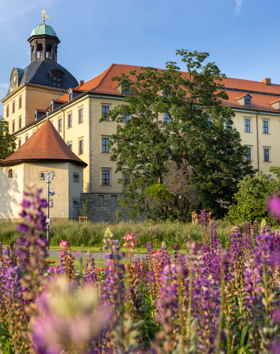 Schloss Moritzburg (Zeitz)